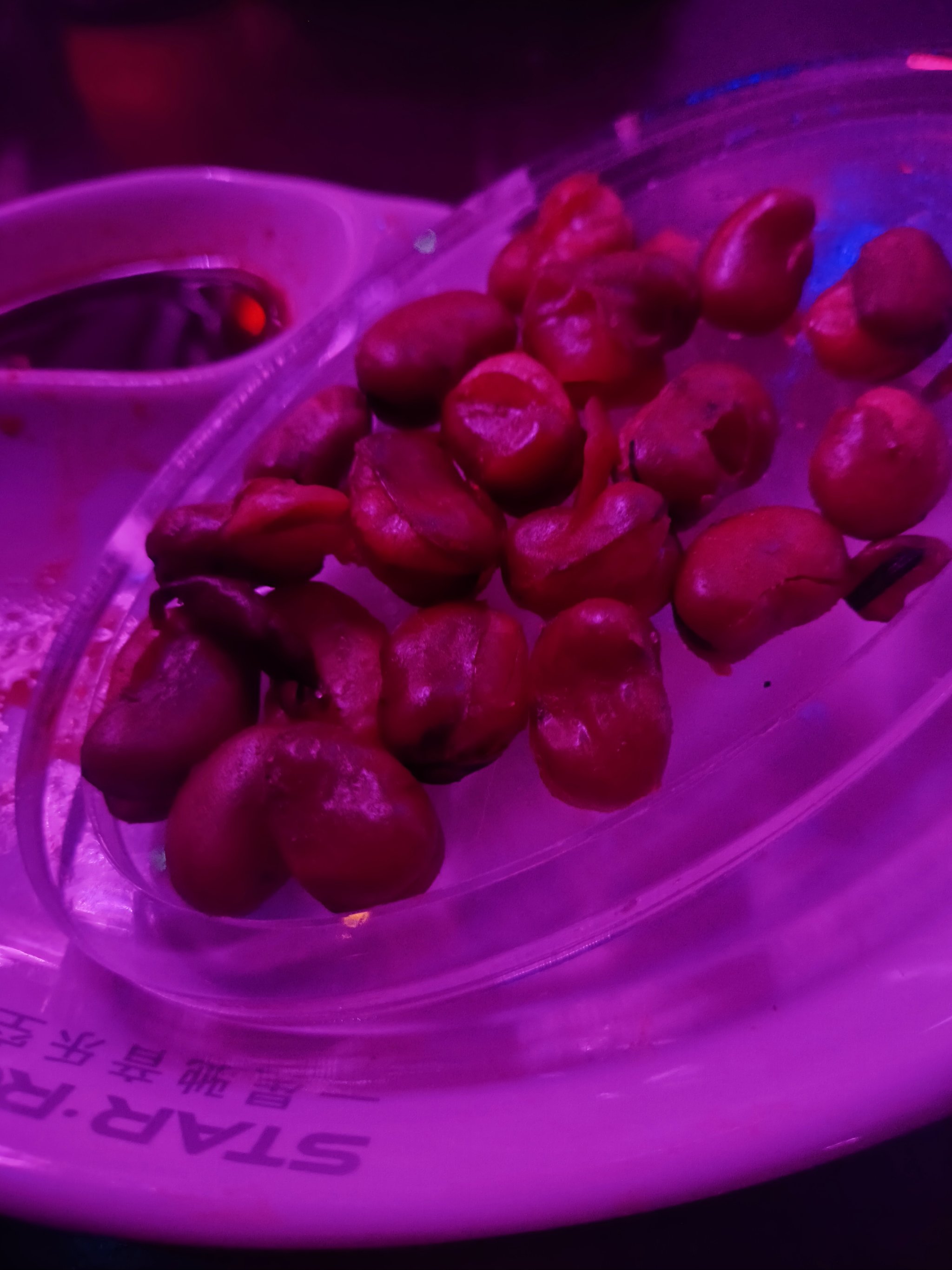 南平商务KTV夜场魅力宣传-武夷山市ktv预订